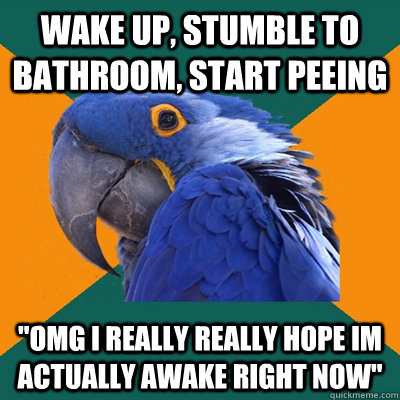wake up, stumble to bathroom, start peeing 