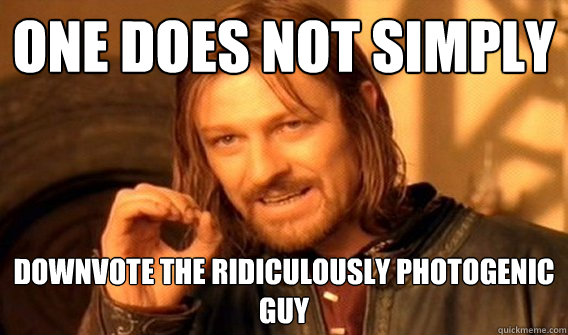 One does not simply downvote the Ridiculously Photogenic Guy  One does not simply beat skyrim