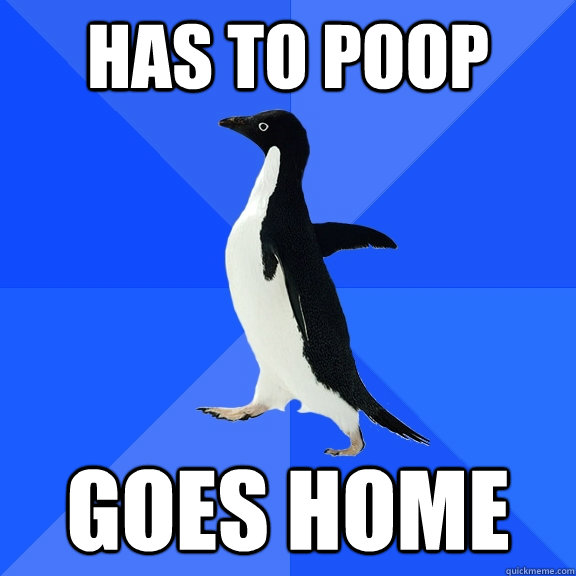 Has to poop Goes Home  Socially Awkward Penguin