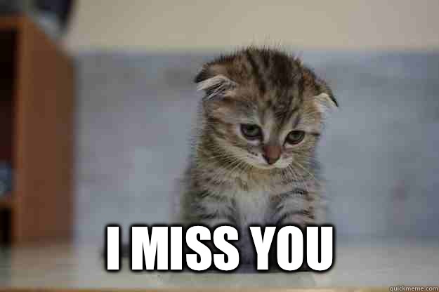  I miss you -  I miss you  Sad Kitten