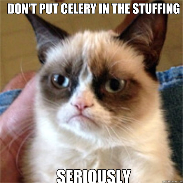 don't put celery in the stuffing seriously - don't put celery in the stuffing seriously  Misc