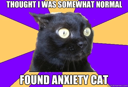 THOUGHt I WAS SOMEWHAT NORMAL FOUND ANXIETY CAT  Anxiety Cat