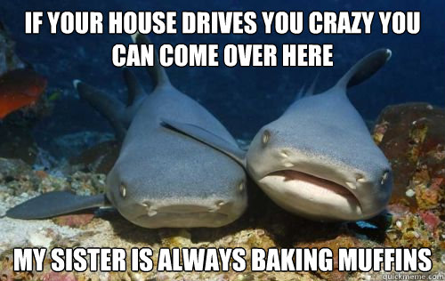 if your house drives you crazy you can come over here my sister is always baking muffins  Compassionate Shark Friend