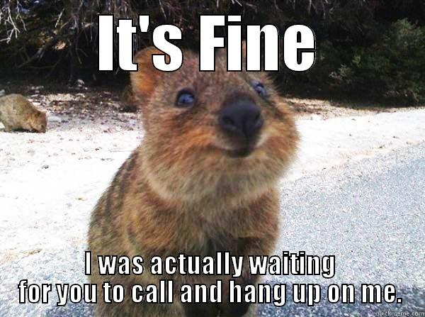 Passive Aggressive Quokka - quickmeme