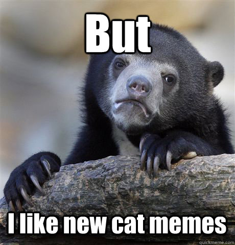 But I like new cat memes - But I like new cat memes  Confession Bear