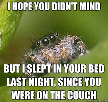 I HOPE YOU DIDN'T MIND BUT I SLEPT IN YOUR BED LAST NIGHT, SINCE YOU WERE ON THE COUCH  Misunderstood Spider