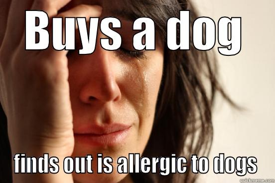 BUYS A DOG FINDS OUT IS ALLERGIC TO DOGS First World Problems