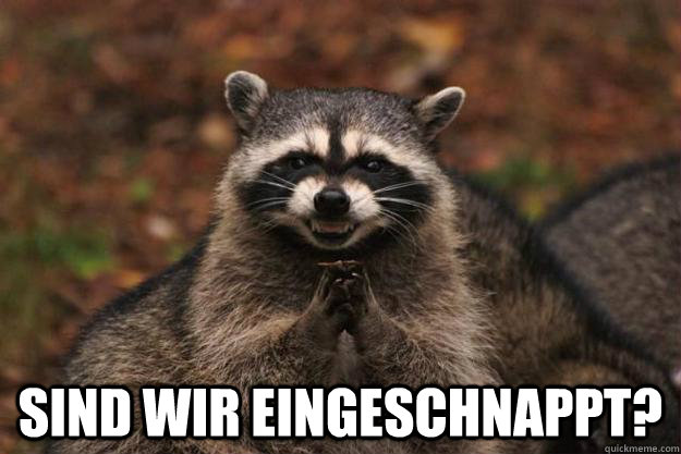  Sind wir eingeschnappt?  -  Sind wir eingeschnappt?   Evil Plotting Raccoon