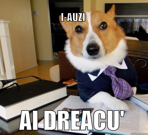                                                                  I-AUZI AI DREACU' Lawyer Dog