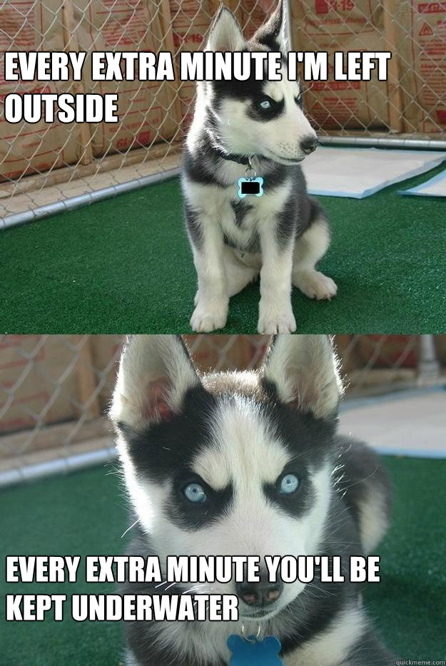 every extra minute i'm left outside every extra minute you'll be kept underwater  Insanity puppy