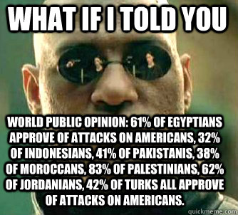 what if i told you World Public Opinion: 61% of Egyptians approve of attacks on Americans, 32% of Indonesians, 41% of Pakistanis, 38% of Moroccans, 83% of Palestinians, 62% Of Jordanians, 42% of Turks all approve of attacks on Americans.  Matrix Morpheus