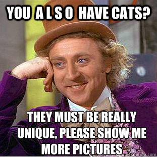 You  a l s o  have cats? They must be really unique, please show me more pictures - You  a l s o  have cats? They must be really unique, please show me more pictures  Creepy Wonka