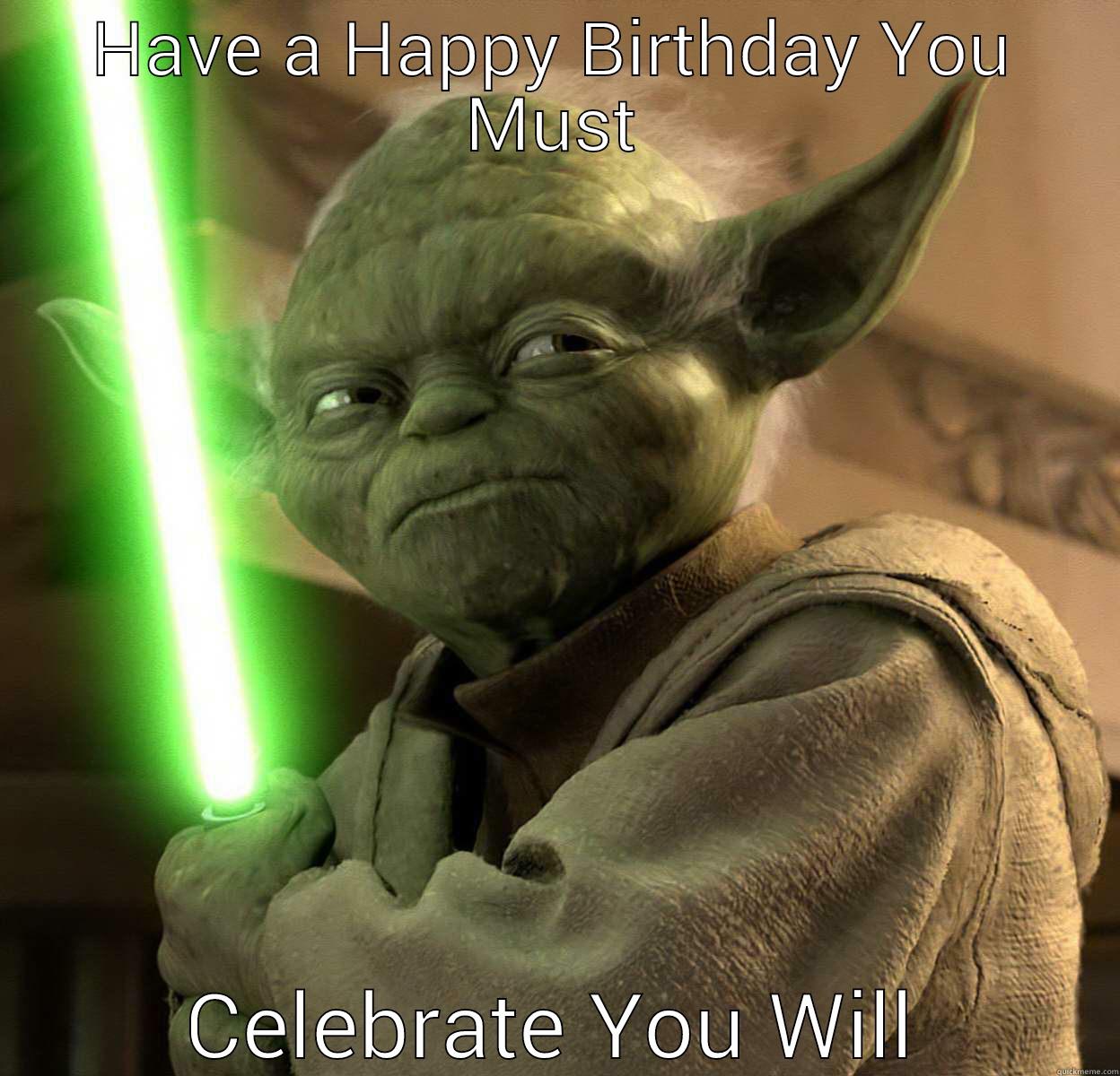 HAVE A HAPPY BIRTHDAY YOU MUST CELEBRATE YOU WILL Misc