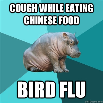 Cough while eating chinese food Bird Flu - Cough while eating chinese food Bird Flu  Hypochondriac Hippo