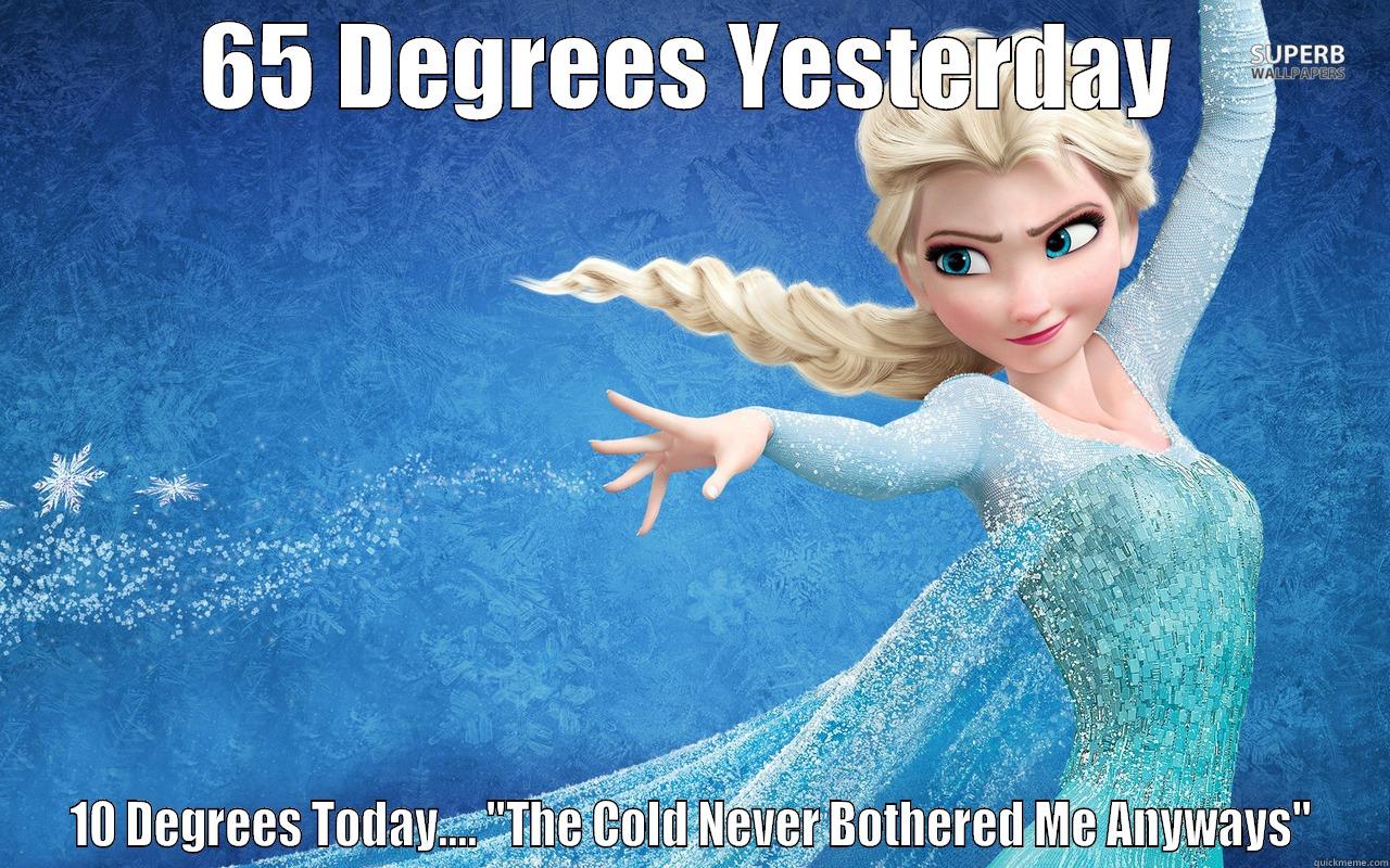 Scumbag Elsa - 65 DEGREES YESTERDAY 10 DEGREES TODAY.... 