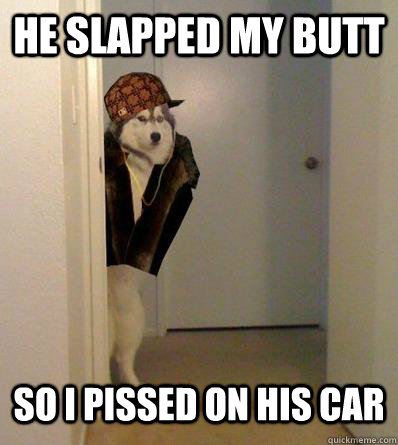 HE SLAPPED MY BUTT SO I PISSED ON HIS CAR  Scumbag dog