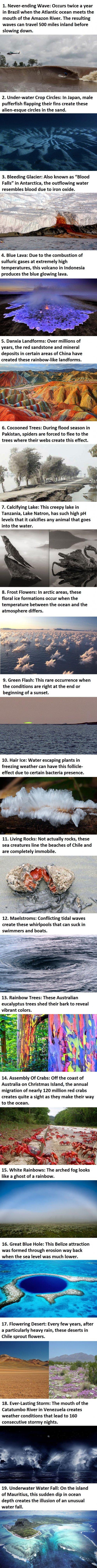 Here’s 19 Bizarre Things Are Happening On Earth Right Now. -   Misc
