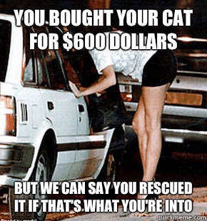 you bought your cat for $600 dollars but we can say you rescued it if that's what you're into  FB karma whore
