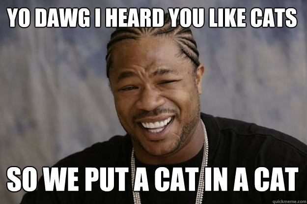 yo dawg i heard you like cats so we put a cat in a cat    Xzibit meme