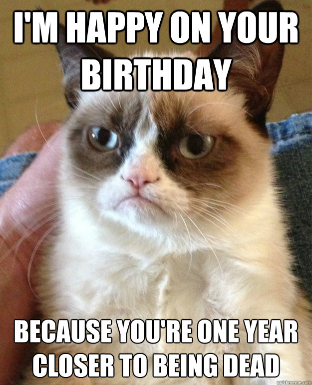 i'm happy on your birthday because you're one year closer to being dead  grumpycat