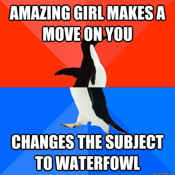 Amazing girl makes a move on you changes the subject to waterfowl  Socially Awesome Awkward Penguin