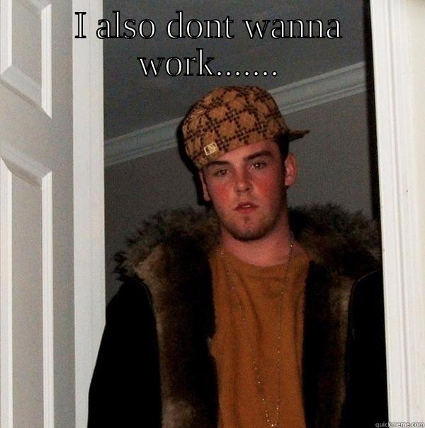 I ALSO DONT WANNA WORK.......  Scumbag Steve