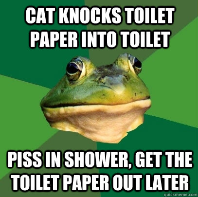 Cat knocks toilet paper into toilet piss in shower, get the toilet paper out later  Foul Bachelor Frog