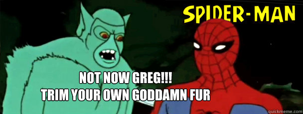 Not now greg!!!
trim your own goddamn fur  60s Spiderman