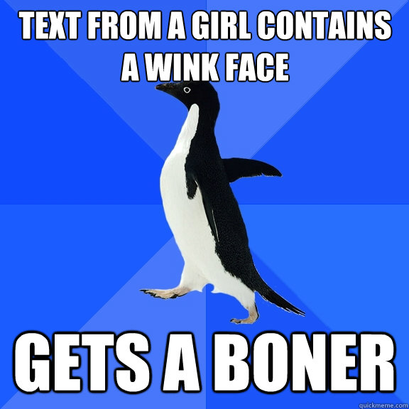 text from a girl contains a wink face  gets a boner  Socially Awkward Penguin