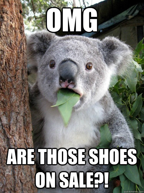 omg are those shoes on sale?!  koala bear