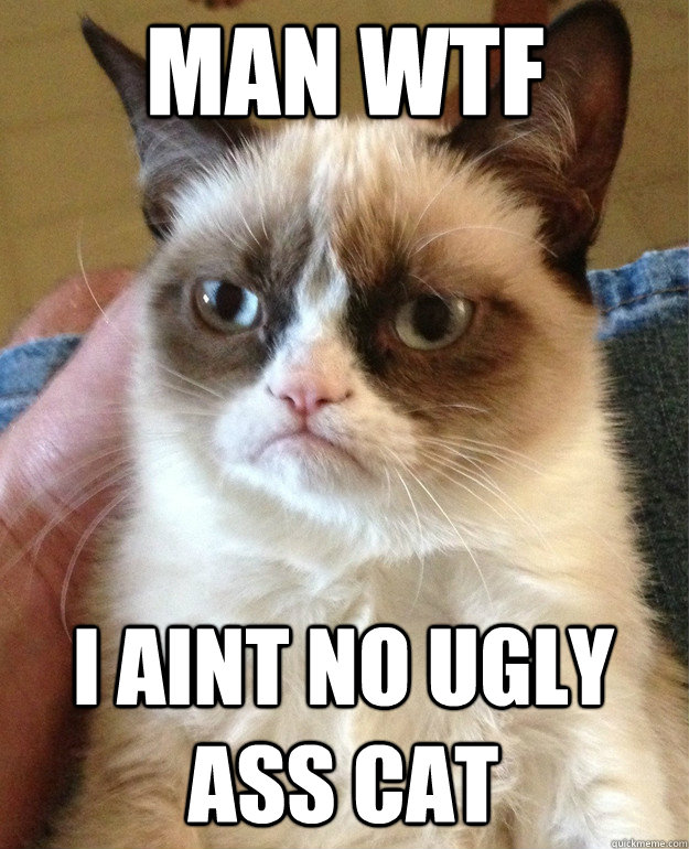 Man wtf I aint no ugly ass cat - Man wtf I aint no ugly ass cat  Grumpy Cat
