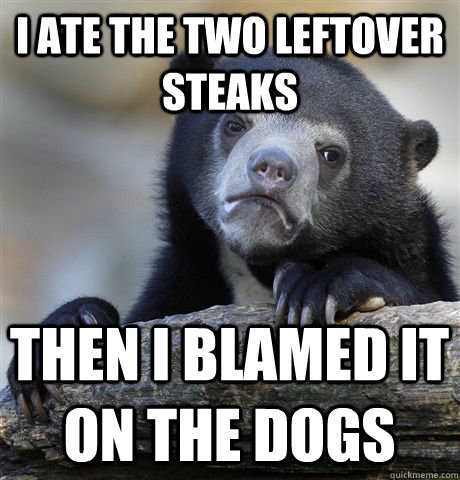 I ate the two leftover steaks then I blamed it on the dogs - I ate the two leftover steaks then I blamed it on the dogs  Confession Bear