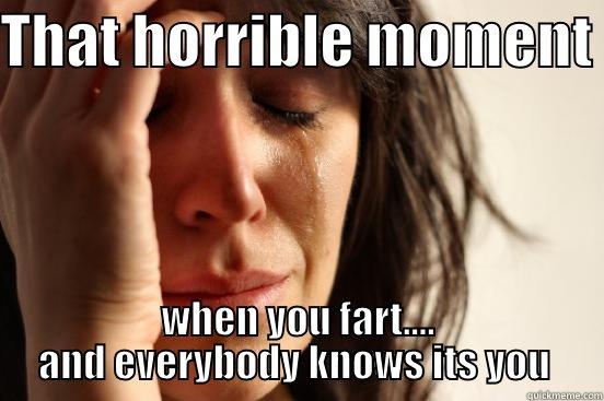 THAT HORRIBLE MOMENT  WHEN YOU FART.... AND EVERYBODY KNOWS ITS YOU  First World Problems