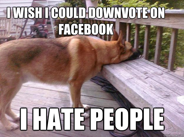 I wish I could downvote on facebook I hate people  First World Dog problems