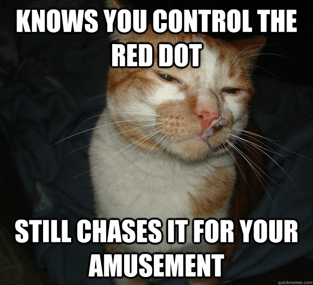 knows you control the red dot still chases it for your amusement   Good Guy Cat