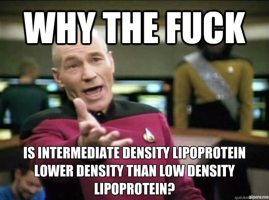 Why the fuck is Intermediate density lipoprotein lower density than low density lipoprotein?   Annoyed Picard HD
