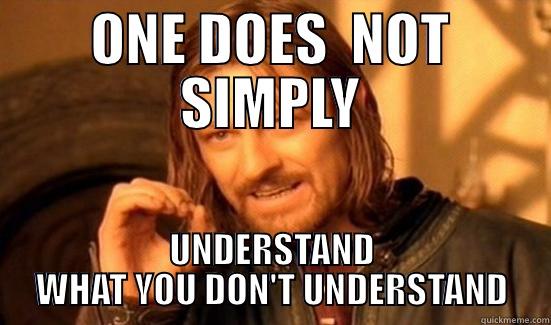 ONE DOES  NOT SIMPLY UNDERSTAND WHAT YOU DON'T UNDERSTAND Boromir