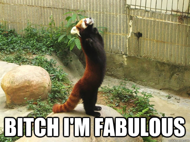 BITCH I'M FABULOUS  