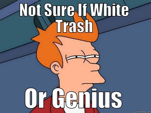 NOT SURE IF WHITE TRASH OR GENIUS Futurama Fry