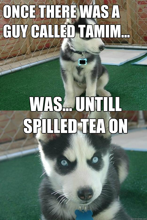 once there was a guy called tamim... was... untill spilled tea on tagirs camera  Insanity puppy