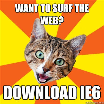 want to surf the web? download IE6  Bad Advice Cat