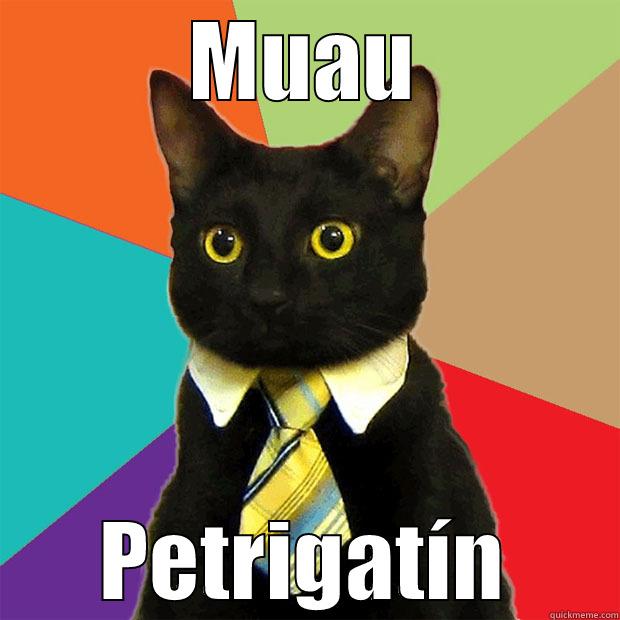 MUAU PETRIGATÍN Business Cat