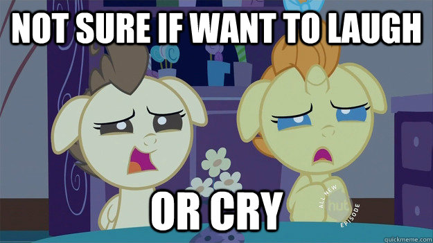 Not sure if want to laugh or cry - Not sure if want to laugh or cry  Not Sure MLP Twins
