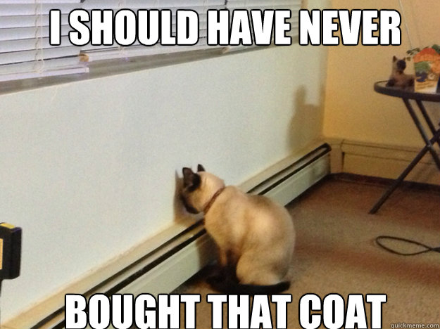 I SHOULD HAVE NEVER BOUGHT THAT coat  Regretful Cat