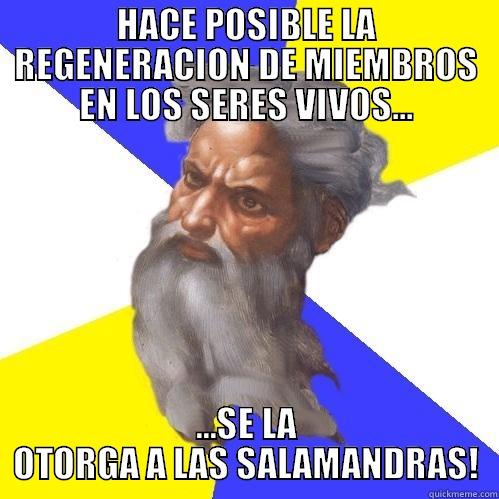 HACE POSIBLE LA REGENERACION DE MIEMBROS EN LOS SERES VIVOS... ...SE LA OTORGA A LAS SALAMANDRAS! Advice God