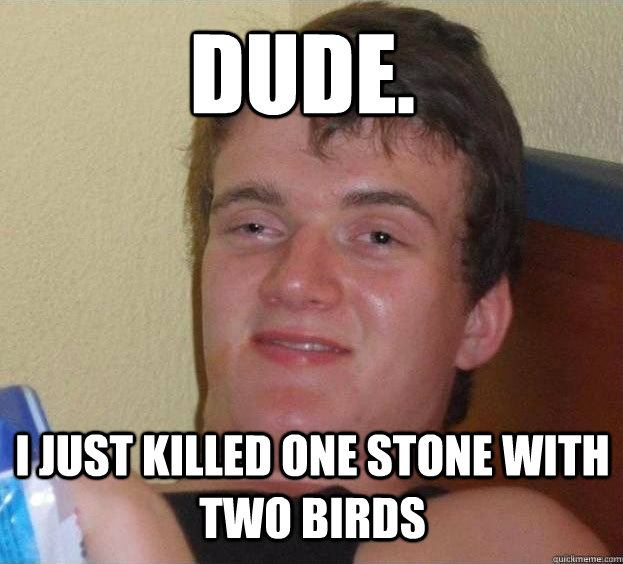 Dude. I just killed one stone with two birds - Dude. I just killed one stone with two birds  The High Guy