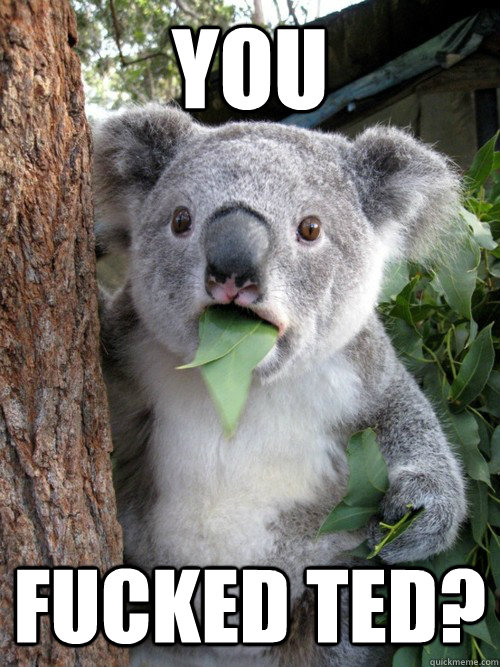 You fucked Ted? - You fucked Ted?  Surprised Koala