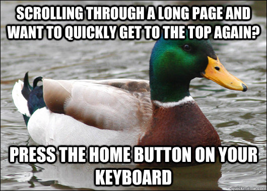 Scrolling through a long page and want to quickly get to the top again? Press the home button on your keyboard  Actual Advice Mallard