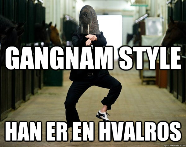 Gangnam Style han er en hvalros  