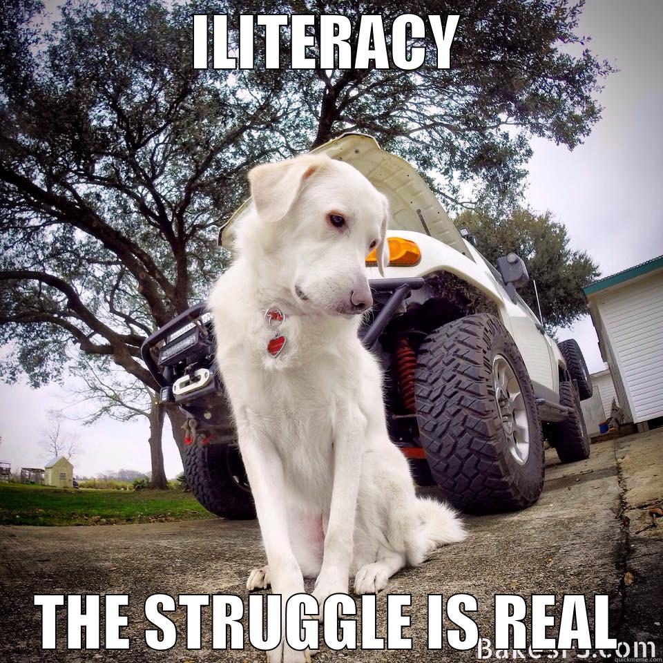 ILITERACY THE STRUGGLE IS REAL Misc